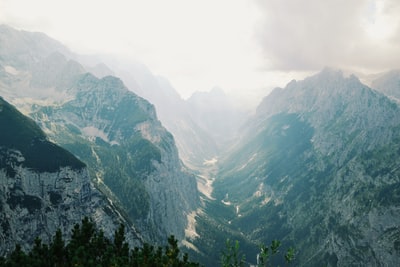 山和树在白天
